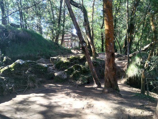 Pendakian Gunung Sikunir