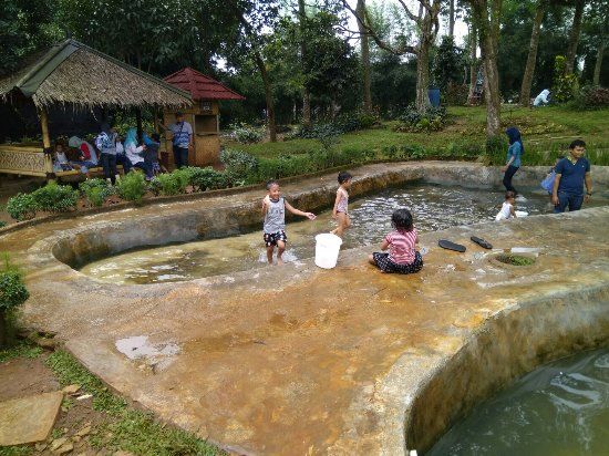 D'Kandang Amazing Farm