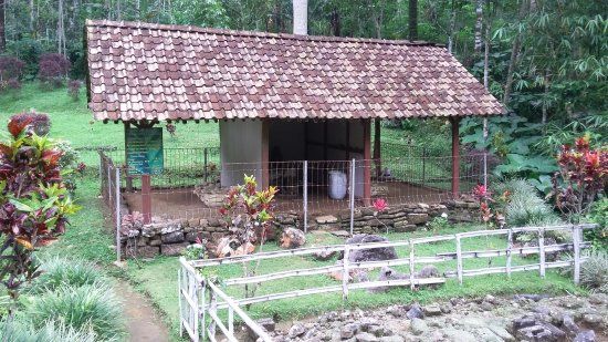 Seplawan Cave