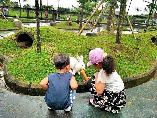 Yoga di Taman