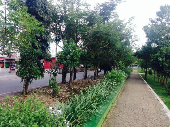 Biking di Taman Singha Merjosari