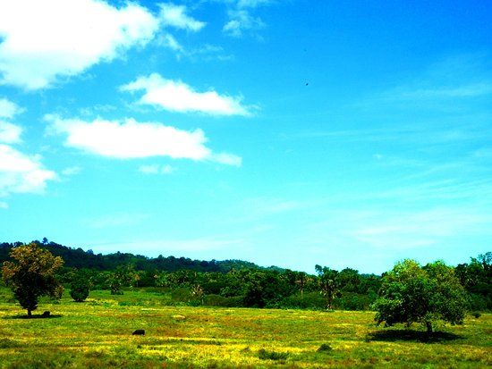 Sadengan Savannah