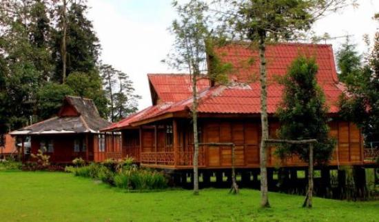 Bersepeda di Sekitar Taman