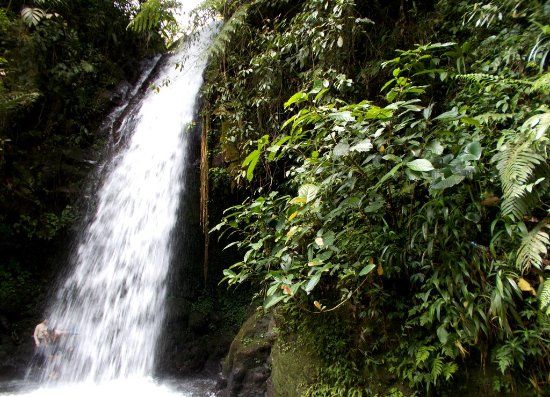 Hiking di Pangeran Waterfall
