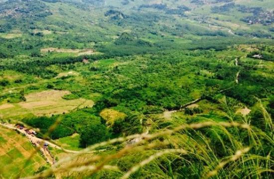 Trekking di Halimun Salak National Park
