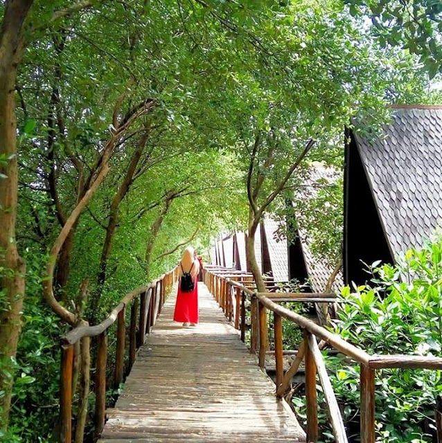 Taman Wisata Alam Mangrove, Angke Kapuk