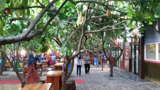 Kampung Coklat