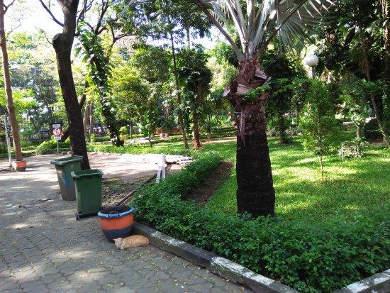 Bersepeda di Taman Bungkul