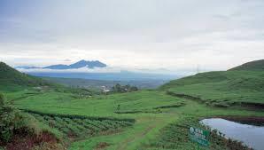 Puncak, Bogor