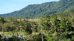 Gunung Honje