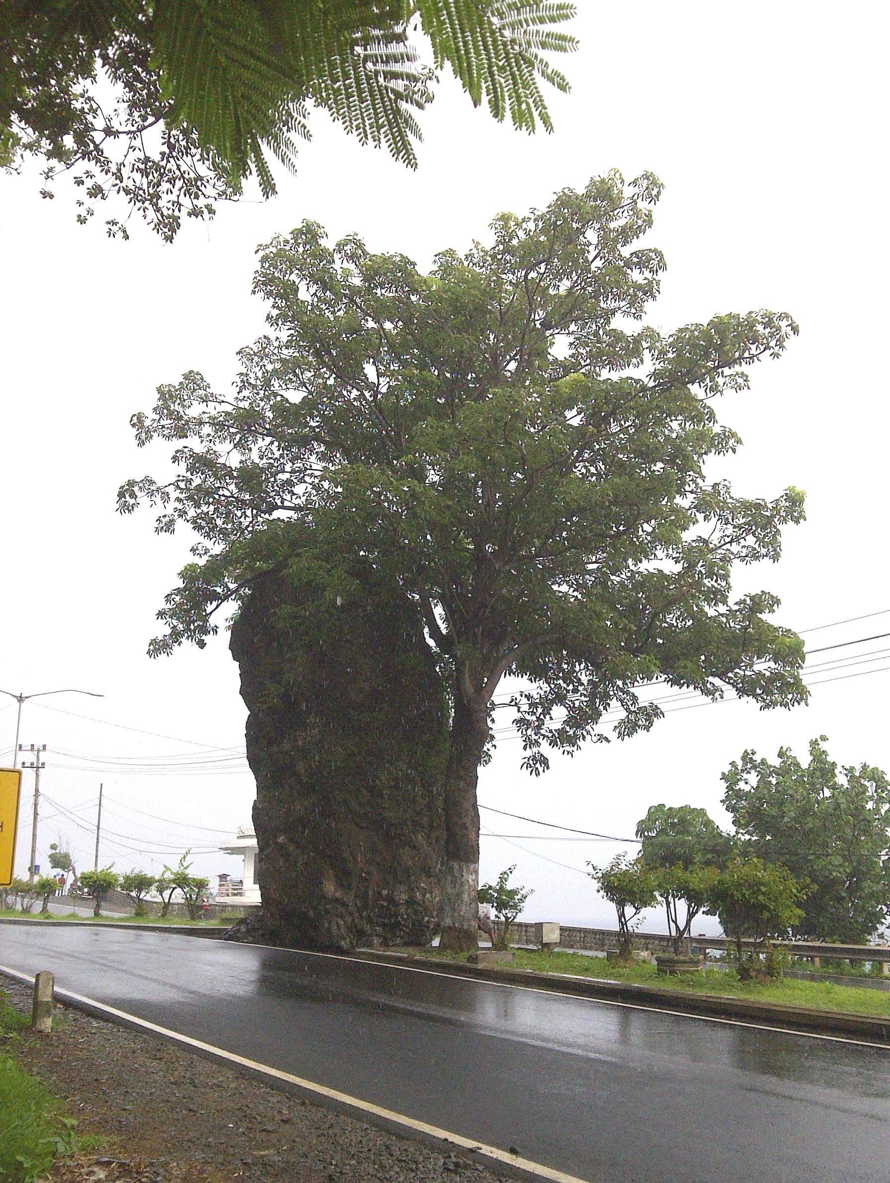 Kawasan Wisata Watu Dodol