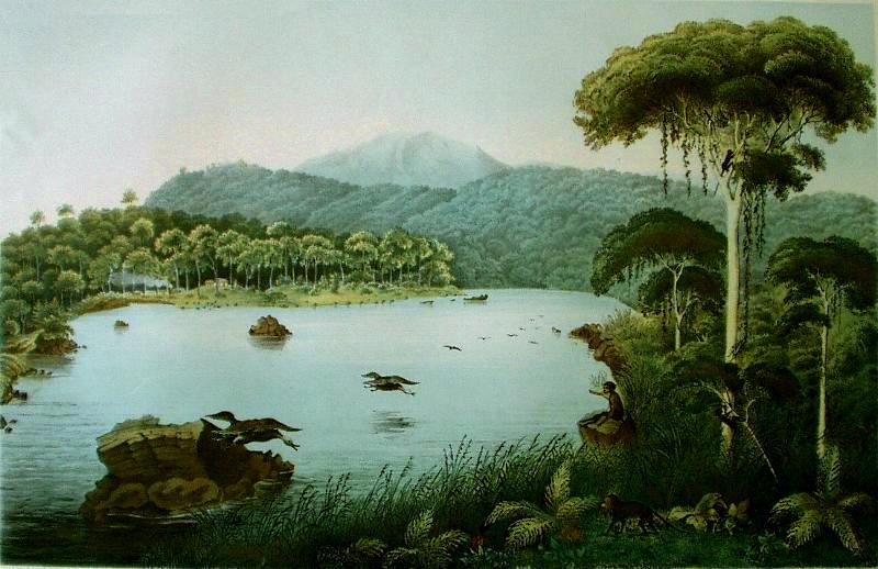 Situ Patengan