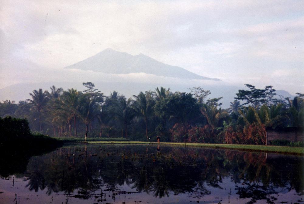 Taman Nasional Gunung Merbabu