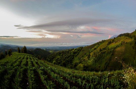 Puncak B29