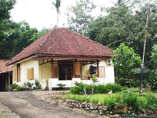 Kegiatan Olahraga Air