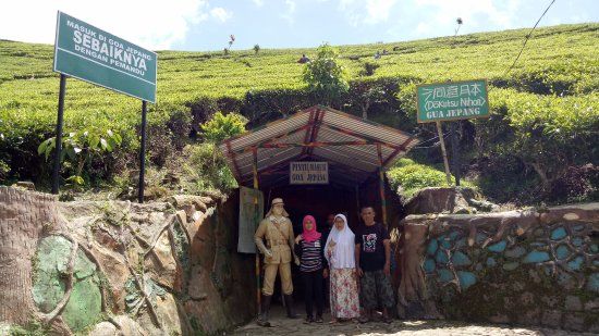 Hiking di Taman Nasional Alas Purwo