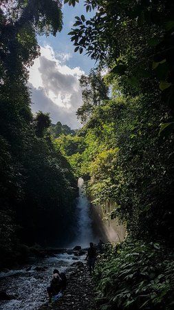 Hiking di Taman Nasional Alas Purwo