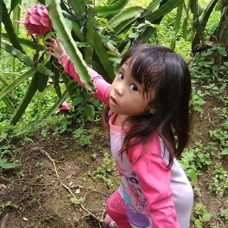 Waras Farm