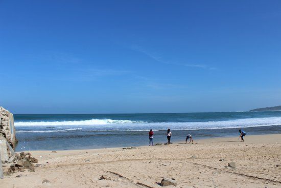 Ujung Genteng Turtle Conservation