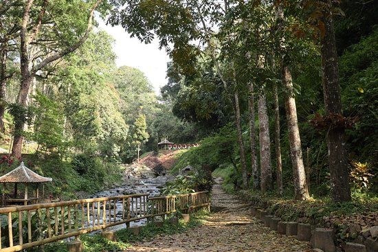 Hiking di Telunjuk Dewa Raung