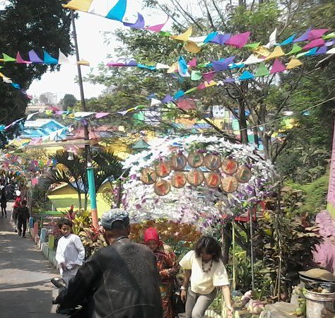 Tridi Village