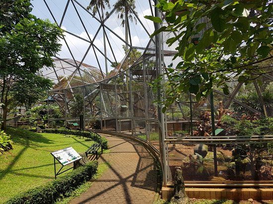 Yoga di Taman Melati