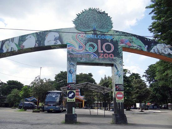 Bersepeda di Taman Balekambang
