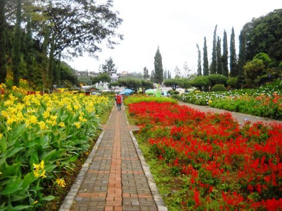 Taman Rekreasi Selecta