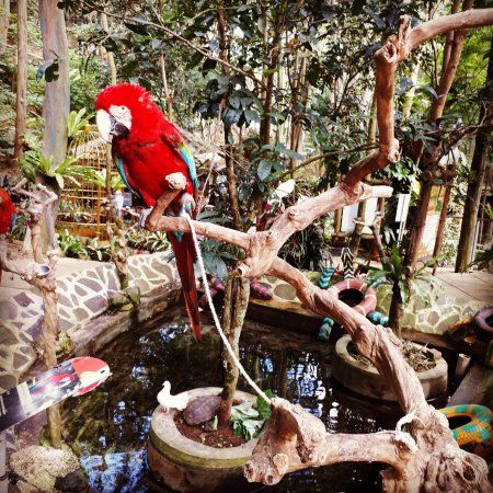 Kebun Binatang Bandung
