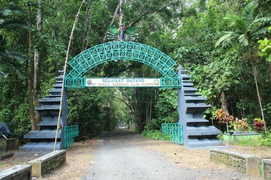 Taman Nasional Alas Purwo