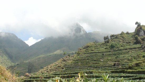 Candi Arjuna