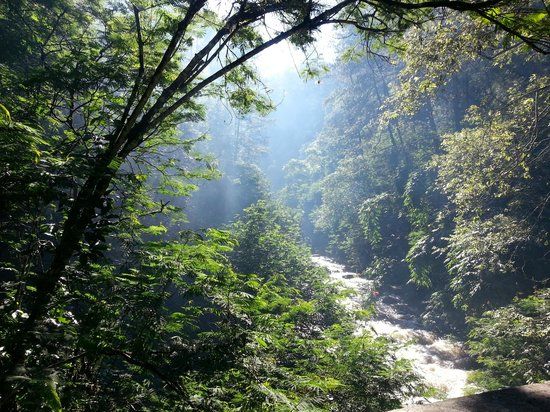 Bersepeda di Forest Park Conservation Area