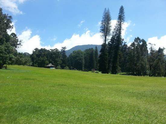 Hiking di Taman Nasional Gunung Gede Pangrango