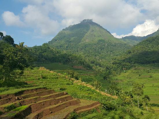 Candi Selogriyo