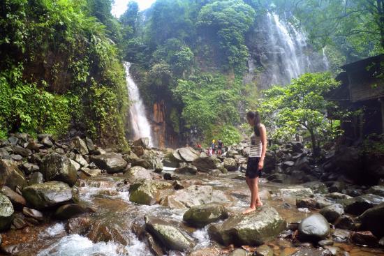 Hiking di Halimun Salak National Park