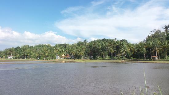 Tanjakan Gentong