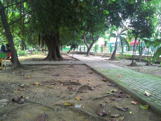 Bekasi City Park