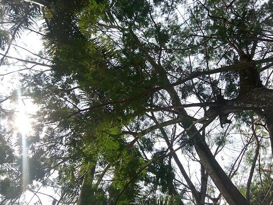 Bersepeda di Taman