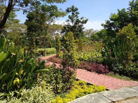 Hutan Bambu