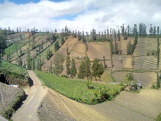 Ngadas Village