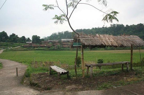 Desa Cibuntu