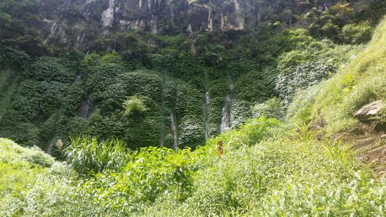 Museum D'Topeng Kingdom