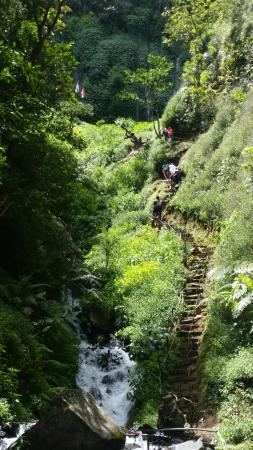 Wisata Petik Apel