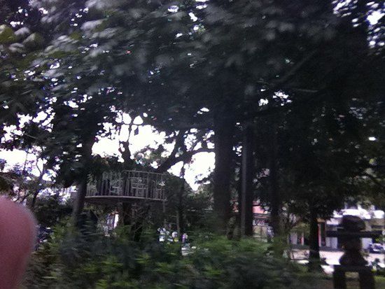 Kebun Binatang Bandung