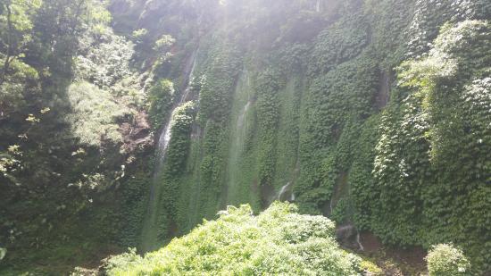 Wisata Petik Apel